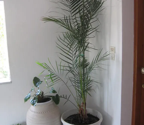 Apartament Marina Ii