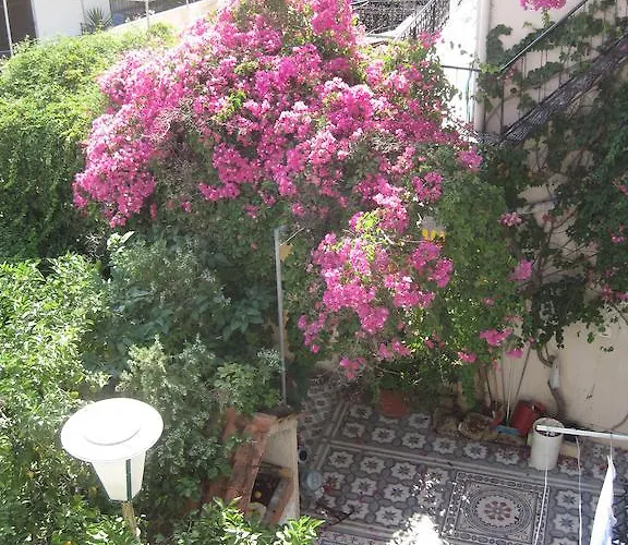 Apartament Marina Ii *