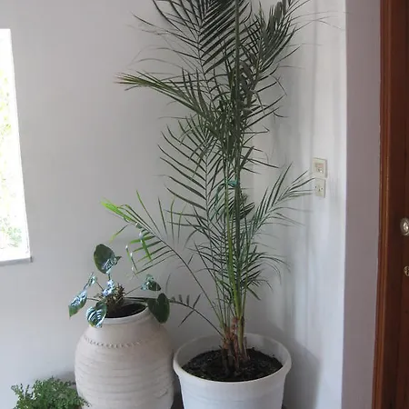 Apartament Marina Ii