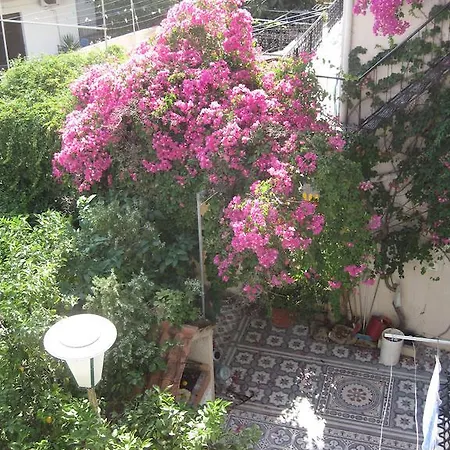 Apartament Marina Ii *