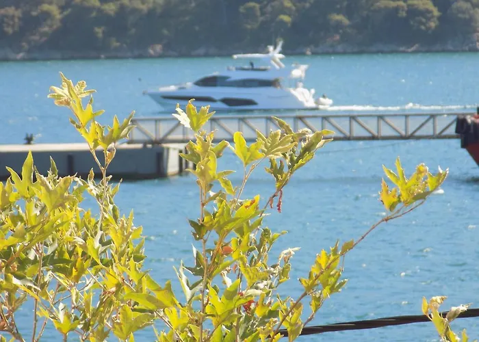 Marina Ii Αργοστόλι